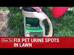 Remember your dog's urine contains ph acid & this thing helps to remove the bad smell from the urine. How To Fix Pet Urine Spots On Lawn Ace Hardware Youtube
