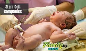 Lelong.my is not affiliated with or endorsed by any company listed on this site. Stem Cell Companies Malaysia Health Family Medicine And Healthcare