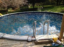 For about a month i kept making mistakes. 14 Simple Tips For Keeping Ducks Away From Your Pool Dengarden Home And Garden