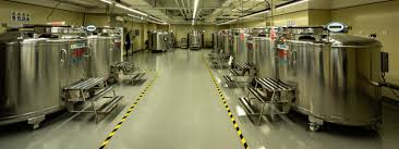 97成人精品一区二区三区狼人,亚洲精品国产SUV一区88,精品国产成人国产在线观看,国产麻花豆剧传媒入口,亚洲国产成人三片