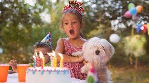 In this video, i am going to show you special cards making at home.please like the video, if you liked the card. Free Birthday Video Maker Create Birthday Slideshows Animoto