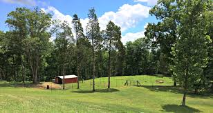Keep track of how long it takes for the water to drain a second time. How To Clear Land By Hand Farm Fresh For Life Real Food For Health Wellness