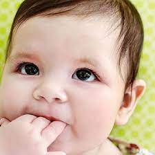 We did not find results for: Wajah Bayi 7 Ekspresi Bayi Menggemaskan Yang Memiliki Sejuta Arti