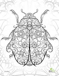 See more ideas about insect coloring pages, coloring pages, coloring pages for. Adult Coloring Pages Colorsuki Com