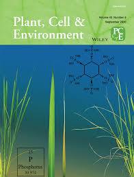 Check spelling or type a new query. Plant Cell Environment Vol 43 No 9