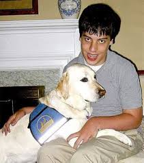 404 Not Found Working Dogs Therapy Animals Dogs With Jobs