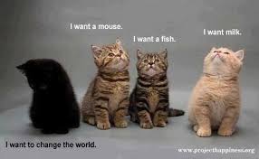 Pin By Dawn Hill Designs Jewelry Des On Pawsome Cats Infj Infj Personality Intj And Infj