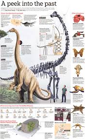 Jul 15, 2021 · frontpage | new straits times : Lkcnhm Infographic Spread On The Straits Times Saturday 25 Apr 2015 News From Lee Kong Chian Natural History Museum