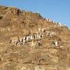 Since performing hajj rituals, such as wuquf at arafat and muzdalifah, stoning the jamarat. Https Encrypted Tbn0 Gstatic Com Images Q Tbn And9gcqw9hrry1eatf02vgkmxyug5pdhcrorxpreca3ptvxywjbhhvms Usqp Cau