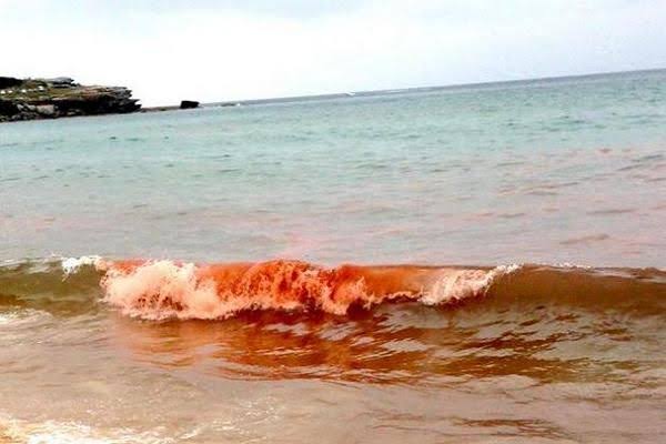 Watch: Australia's Most Famous Beach Turns Blood Red - Worldcrunch