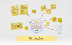 Planul de afaceri va trata intotdeauna cel putin urmatoarele aspecte: Plan De Afaceri By Tatiana Dazzle