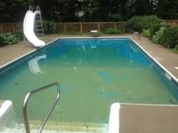 Apply a green algaecide and follow the label directions. Mustard Algae How To Diagnose And Treat Mustard Or Yellow Algae In Your Swimming Pool Ask The Pool Guy