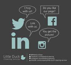 Expert recommended top 3 carpet cleaning services in carlisle, uk. Upholstery Cleaner Carlisle Cumbria The Borders Little Duck