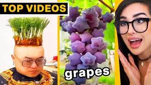 Lavon Mims's Instagram, Twitter & Facebook