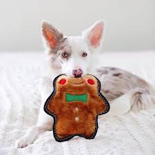 Quels Sont Les 5 Meilleurs Jouets Pour Chien En 2020 En 2020 Dresser Un Chien Chien Jouet Chien