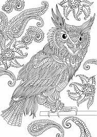 Some of the colouring page names are online coloring for color nimbus, large owl template google search owl coloring owl stencil owl patterns, animal owl coloring for kindergarten owl coloring heart, owl coloring for detailed owl coloring, two owls with simple patterns on branch owls adult coloring, owl coloring az coloring owl coloring. Pin On Owls