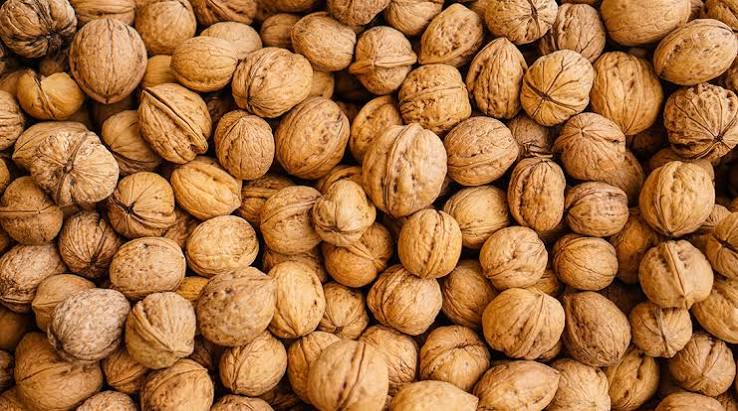 Walnuts for International Nut Export
