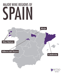 Represented on the map are the approximate boundaries of top dozen wine regions in spain and portugal along with visitor information. Spanish Wines 101 From The Vine