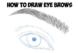 Here are the steps that we'll take to draw a realistic eye. How To Draw Eyebrows With These Tutorials For Beginner Artists