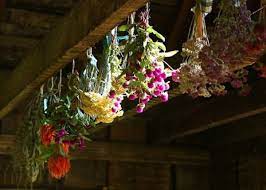 Spray the booms with a fixative after preservation to add. 8 Ways To Preserve Roses And Other Types Of Flowers Dengarden