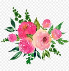 26,507 likes · 24 talking about this. Scrose Roses Rose Aesthetic Cute Flower Watercolor Cute Flower Aesthetic Transparent Png Image With Transparent Background Toppng
