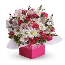Need stunning christmas flowers for sydney delivery? 14 Send Christmas Flowers Online To Australia Ideas Christmas Flowers Flowers Online Flowers Australia
