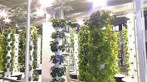 Maybe you would like to learn more about one of these? Commercial Tower Farm Tower Garden Greenhouse Wholesale Tower Garden True Garden