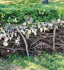 Image result for Nile Green 1988 Audi