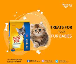 Buy Cat Food In Bahawalpur Cat Food Online Kitten Food Online Kitten Food Buy A Cat Grocery Online