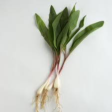 Country living editors select each product featured. Ramps Ingredient Finecooking