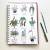 Diy Hang Plant