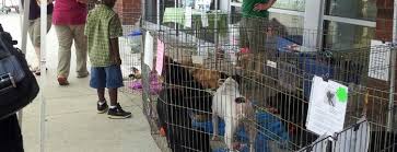 (13 days ago) pet stores puppies in atlanta on yp.com. The 15 Best Pet Stores In Atlanta