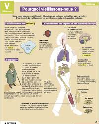 Educational Infographic Le Vieillissement Educational Infographic Science Education Science