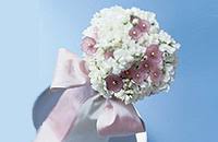 We have reviews of the best places to see in knoxville. Knoxville Tn Florists Provide Wedding Flowers Centerpieces And More At Wedding And Party Network