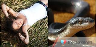 Seringkali ular merefleksikan sebuah ancaman yang saat ini datang dalam demikian beberapa penjelasan terkait mimpi diserang ular menurut berbagai sudut pandang. Ular Tedung Digunakan Suami Untuk Bunuh Isteri Pembunuhan Kejam Theasianparent Malaysia