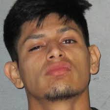 Two arrested in attack, robbery of man outside his apartment