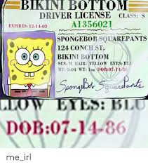 So i like a lot of things and i don't like a lot of things. Bikini Bottom Driver License Class S A1356021 Expires 12 14 03 Spongebob Squarepants 124 Conch St Bikini Bottom Sex M Hair Yellow Eyes Blu Ht0 04 Wt10z Dob07 14 86 Sporeybbad Sgeacadonte Low Eyes Blu Dob07 14 86 Me Irl
