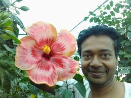 My hibiscus at the best! Hibiscus blooms!😇💐