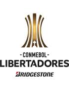 Detailed info include goals scored, top scorers, over 2.5, fts, btts, corners, clean sheets. Copa Libertadores 2021 Transfermarkt