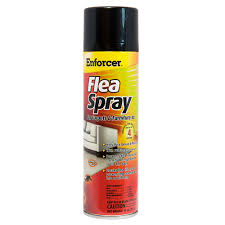 How to get rid of fleas on couch naturally. Enforcer Flea Spray For Carpet And Furniture 14 Oz Walmart Com Walmart Com