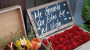 Check spelling or type a new query. Video Se Duplicara Precio De Flores Para El 14 De Febrero