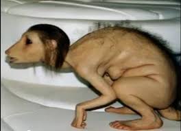 Cele mai tari si noi filme porno online gratis. Video Cea Mai UratÄƒ Femeie Din Lume Imaginea Care A FÄƒcut Peste 15 Milioane De Oameni SÄƒ Dea Click Libertatea