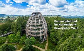 Der nationalpark bayerischer wald wurde am 7. Baumwipfelpfad Neuschonau Ausflugstipps Ausflugstipps Bayerischer Wald Sehenswurdigkeiten Im Bayerischen Wald Nationalpark Bayerischer Wald