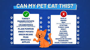 Eating something out of the ordinary could be toxic for them. Can My Pet Eat This Holiday Food Tips For Your Pets Kron4