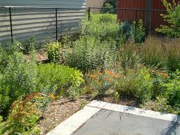 Check spelling or type a new query. 6 Backyard Flooding Solutions For Landscaping A Storm Proof Yard