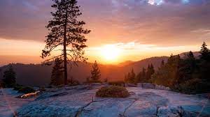 Sunset Gallery New Tab Sequoia National Park Scenery Sequoia National Park California
