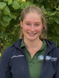 Equine Hospital Vets