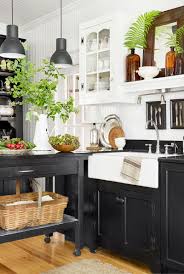 Stainless steel countertops will maintain themselves and you'll never have to worry about stains for as long as you own it. 11 Black Kitchen Cabinet Ideas For 2020 Black Kitchen Inspiration