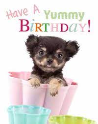 Proficiat Birthday Highchair Birthday Happy Birthday Meme