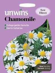 Chamomile Seeds Chamomile Seeds Herb Seeds Herbalism